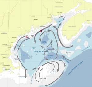 Gulf of Maine Gyre